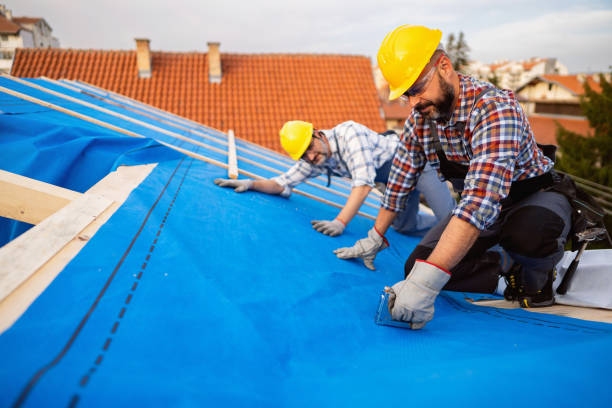 Best Storm Damage Roof Repair  in Great Neck Plaza, NY